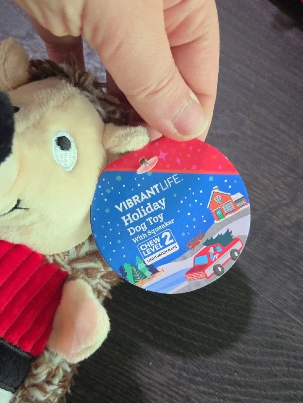 Festive Elf Plush Dog Toy - Green and Red
